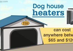 Igloo Dog House Heat Lamp Perfect Dog House Heater Guide to Protect Your Dog From the Cold
