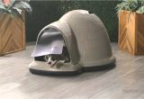 Igloo Dog House Heat Lamp Petmate Indigo Dog House Pad Product Review Video Youtube
