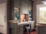 Ikea Kitchen Cabinet Elegance Kitchen Furniture Ikea Aeaartdesign