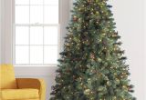 Indoor Decorative Pine Trees Biltmore Pine Artificial Christmas Tree Treetopia