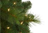 Indoor Decorative Pine Trees Foxtail Christmas Pine Tree Treetopia