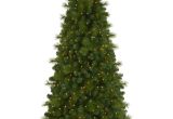 Indoor Decorative Pine Trees Foxtail Christmas Pine Tree Treetopia