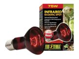 Infrared Heat Lamp for Dogs Amazon Com Exo Terra Heat Glo Infrared Spot Lamp 75 Watt 120 Volt