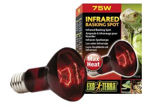 Infrared Heat Lamp for Dogs Amazon Com Exo Terra Heat Glo Infrared Spot Lamp 75 Watt 120 Volt