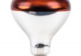 Infrared Heat Lamp Salon Bulb Warmer Heat Lamp Parts and Accessories Webstaurantstore