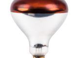 Infrared Heat Lamp Salon Bulb Warmer Heat Lamp Parts and Accessories Webstaurantstore