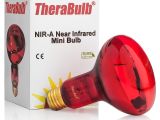 Infrared Heat Lamp Salon therabulb Nir A Near Infrared Bulb 150 Watt 240 Volt Eur