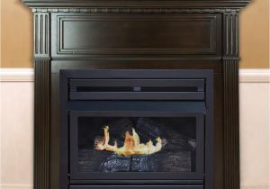Installing A Direct Vent Gas Fireplace Insert Gas Fireplaces Fireplaces the Home Depot