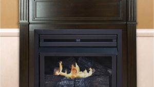 Installing A Vent Free Gas Fireplace Insert Gas Fireplaces Fireplaces the Home Depot