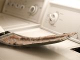 Interior Dryer Vent Lint Trap Clothes Dryer Lint is A Fire Hazard