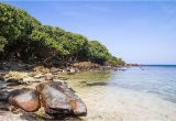 Jacuzzi Bathtubs In Sri Lanka the top 7 National Parks to Visit In Sri Lanka