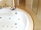 Jetted Bathtub or Jacuzzi Cleaning Bath Tub Jets
