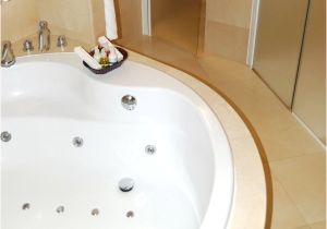 Jetted Bathtub or Jacuzzi Cleaning Bath Tub Jets