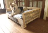 Keep Pets Off Furniture 8 Diy Pallet Beds for Dogs Dream Home Pinterest Wood Dog Bed