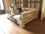Keep Pets Off Furniture 8 Diy Pallet Beds for Dogs Dream Home Pinterest Wood Dog Bed