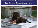 Keep Pets Off Furniture Diy Dog Bed Tutorial Best Of My Frugal Adventures Blog Pinterest