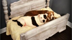 Keep Pets Off Furniture Upcycled Pet Beds Doggie Goodies Care Recipes Pinterest