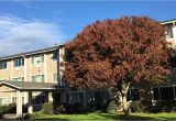 Keizer Homes for Sale Salem Housing Authority