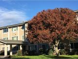 Keizer Homes for Sale Salem Housing Authority