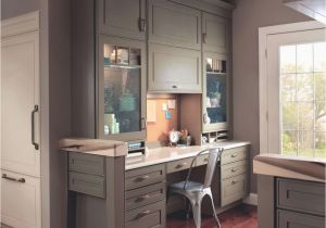 Kitchen Cabinets Colors and Designs Kitchen Cabinet organization Ideas Pickled Maple Cabinets Awesome 0d