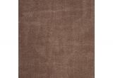 Kohls Rugs Grey Velvet Shag Rug Dark Beig 6 7 X9 2 Safavieh Dark Beige