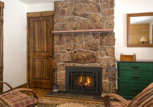 Kozy Heat Fireplace Insert Reviews Modern Contemporary Fireplace Manufacturers Gas Inserts