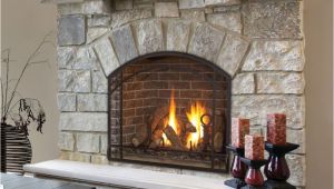 Kozy Heat Gas Fireplace Insert Reviews Home