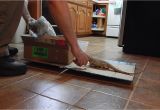 Laminate Flooring for Bearded Dragon Bearded Dragon Won T Eat Superworms because Not Hungry Youtube