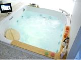 Large Bathtubs with Jets Big Bathtub with Jets – Coinsokufo