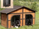 Large Breed Dog House Plans Duplex Dog House Plans Duplex Dog House Plans 15 Brilliant Diy Dog