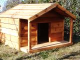 Large Breed Dog House Plans Duplex Dog House Plans Duplex Dog House Plans 15 Brilliant Diy Dog