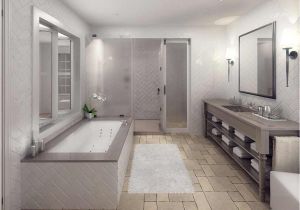 Large Long Bathtubs the Best Storage Ideas for A Small Bathroom