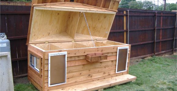 Large Outdoor Cat House Plans Dog House for Two Custom Large Heated Insulated Dog House with