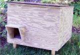 Large Outdoor Cat House Plans Outdoor Cat Houses Insulated Outdoor Cat Shelter Feeding Station