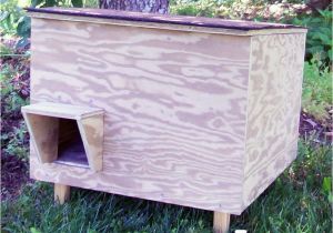 Large Outdoor Cat House Plans Outdoor Cat Houses Insulated Outdoor Cat Shelter Feeding Station