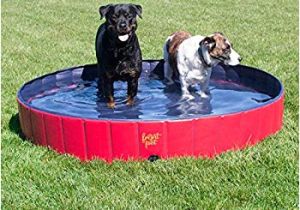 Large Pet Bathtubs Amazon Frontpet Foldable Extra Dog Pet Pool
