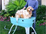 Large Pet Bathtubs Best 25 Dog Bath Tub Ideas On Pinterest