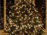 Laser Lights for Trees 15 Diy Outdoor Christmas Tree Tips Economyinnbeebe Com