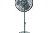 Lasko Floor Fan Home Depot Lasko Adjustable Height 16 In Oscillating Pedestal Fan