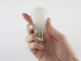 Led Appliance Light Bulbs Amazon Com Sunasu Energy A15 Led Light Bulbs Liquid Cooled 6 Watt