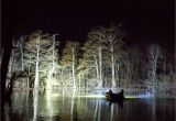 Led Bowfishing Lights New Led Cree 10 Watt Single Row Off Road by southern Lite Led