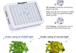 Led Grow Lights Review High Times Amazon Com Roleadro Led Grow Light Galaxyhydro Series 300w Indoor