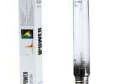 Led Grow Lights Review High Times Ipower 600 Watt High Pressure sodium Super Hps Grow Light Lamp Bulb