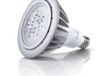 Led Light Bulbs for Trucks 150 Watt Halogen Bulb Awesome Lighting Philips Par38 Led Light Bulb