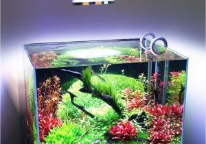 Led Light for Planted Aquarium 54w 36w Freshwater Saltwater Aquarium Lighting Marine Reef Aquariums