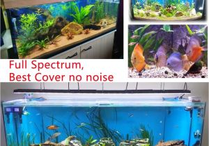 Led Light for Planted Aquarium Aliexpress Com Buy Dsuny Programmable Aquarium Lights Plant for 36