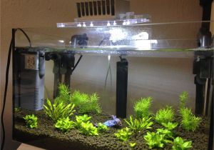 Led Light for Planted Aquarium Betta Fish with Minu Led Light Micron Internal Filter and Jolly