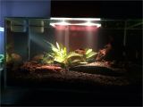 Led Light for Planted Aquarium New Fluval Edge Tank Need Tips the Planted Tank forum