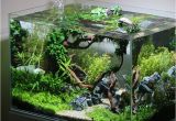 Led Light for Planted Aquarium Pin Od Poua¾a­vatea¾a Masanori Hashida Na Nastenke A¢a¼aaa¹a Pinterest