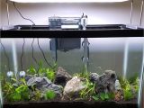 Led Light for Planted Aquarium Timer Dimmer Device for Twinstar 450ea the Planted Tank forum